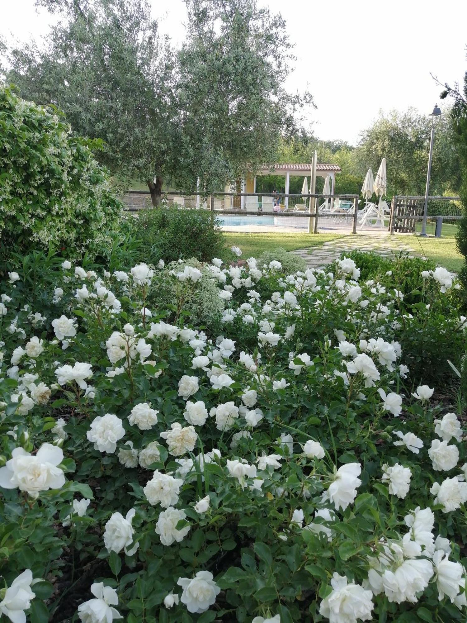 Agriturismo Villa Beatrice Mondavio Bagian luar foto